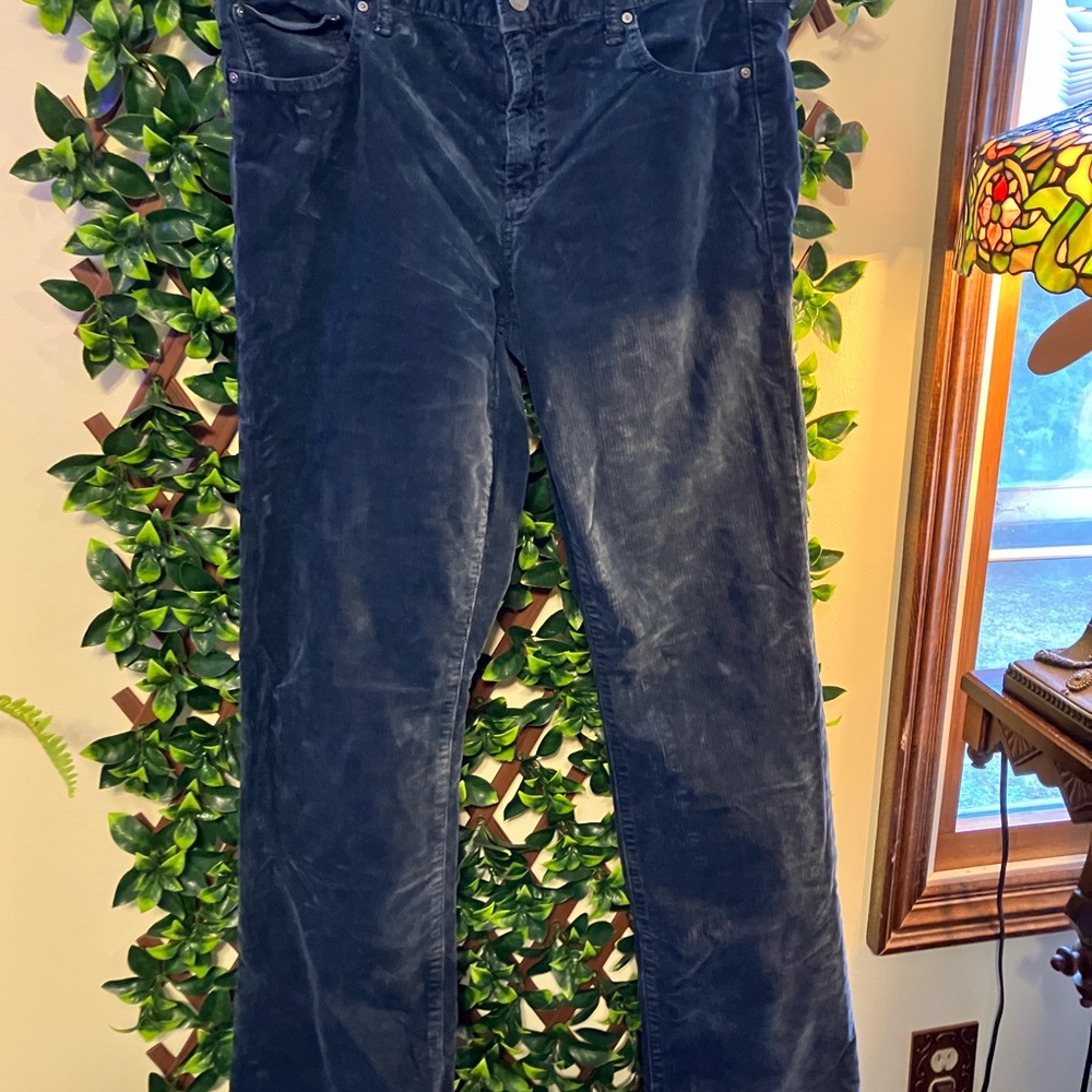 GAP Navy Corduroy Trousers